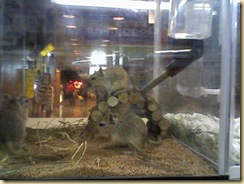 Photo-0308