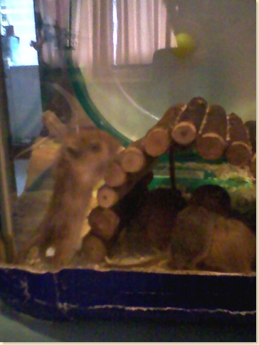 Photo-0342