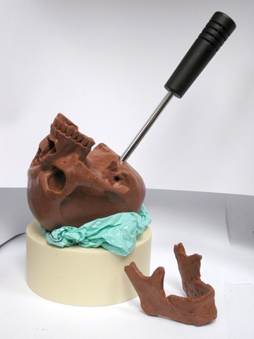 [skull15[6].jpg]