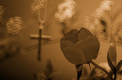 [rose and cross[3].jpg]
