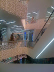 IMG_6071.jpg