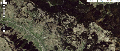 defrisari romania imagini copaci taiati