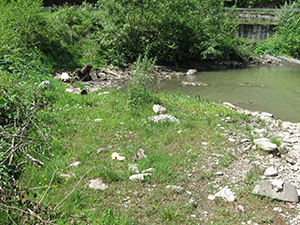 ecologizare piatra craiului 2009