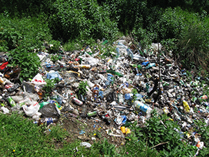 ecologizare piatra craiului 2009