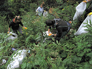 ecologizare sinaia 2009 august ecoassist geo atreides