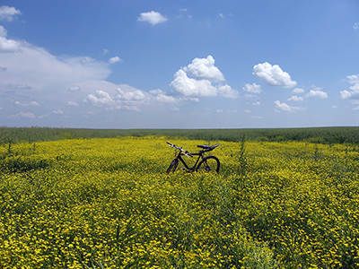 let's bike it vlad dulea geo atreides a doua editie ecologie romania peisaje