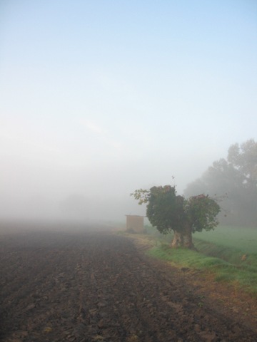 [Brouillard le thor 2[2].jpg]
