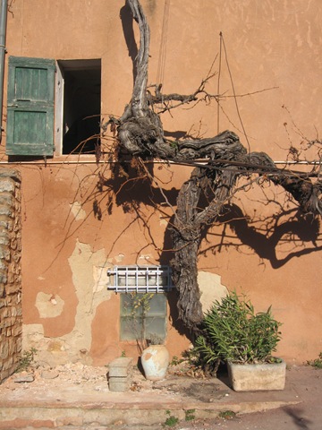 [Mur Vigne Roussillon ++[4].jpg]