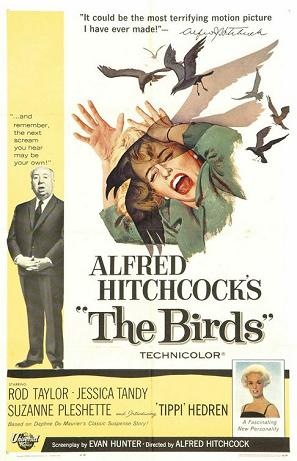 [The Birds[2].jpg]