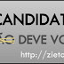 Curiosidade da semana: Tipos de Candidatos Políticos