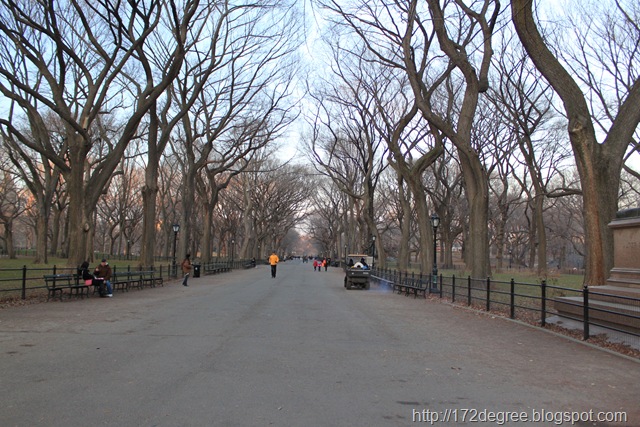 [newyork 351[3].jpg]