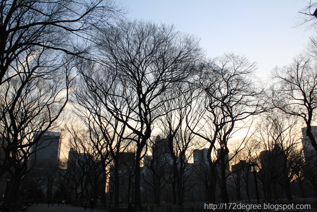 [newyork 400[3].jpg]