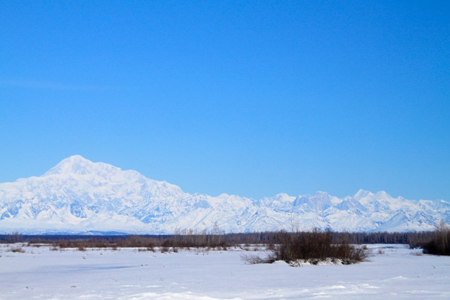 [alaska 376[2].jpg]