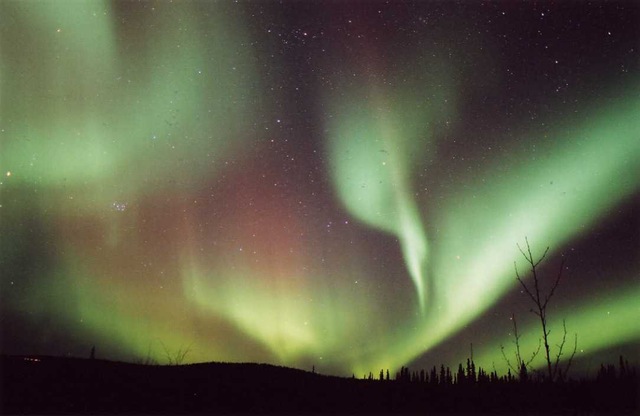 [aurora10[2].jpg]