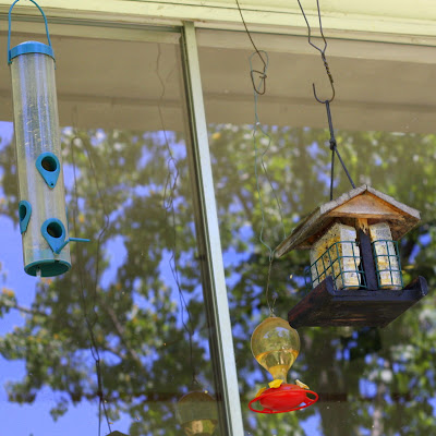 Hummingbird Feeder Recommendation