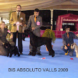 Especial Schnauzer Valls 2009