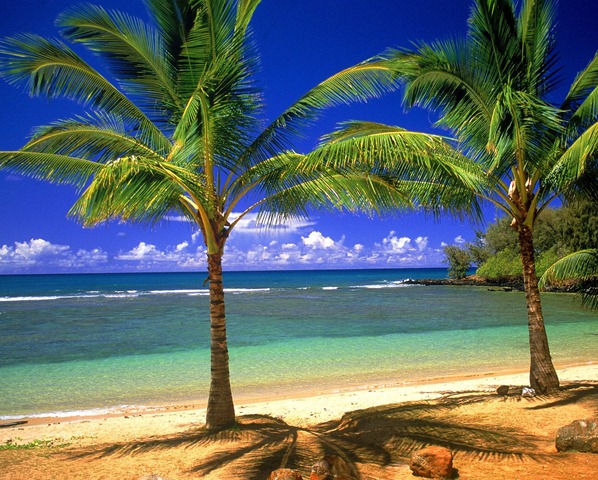 [Tropical_Lagoon[6].jpg]