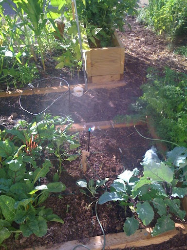 automatic watering Photo-748519