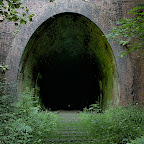 tunneloflight_in_color.jpg