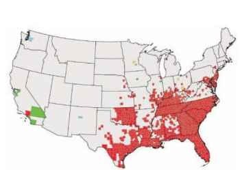 Current distribution of Aedes albopictus in the United States: red, positive counties; yellow, negative/eradicated/disappeared; blue, intercepted (never established); green, current status unknown.