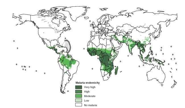Global distribution of malaria.