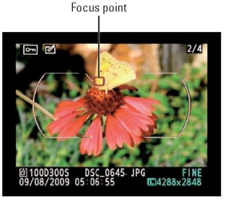  You can view the focus point you used when taking the photo.
