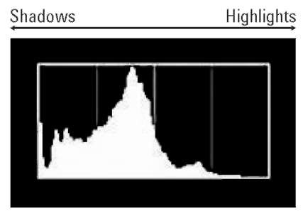 The Brightness histogram indicates tonal range, from shadows on the left to highlights on the right.
