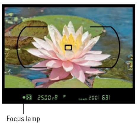 The focus indicator lamp lights when the object under the focus point comes into focus.