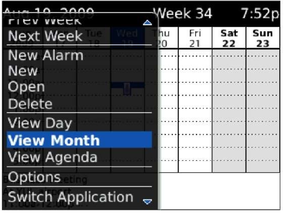 Choose your Calendar view here.