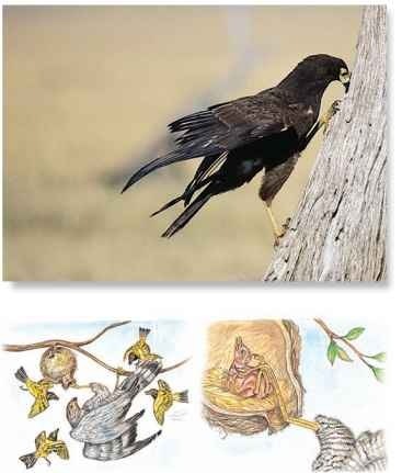 [tmp5F43_thumb3.jpg]