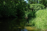 DSC_3518.JPG Photo