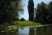 DSC_6895.JPG Photo