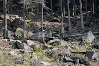 Rampy na trasie Photo
