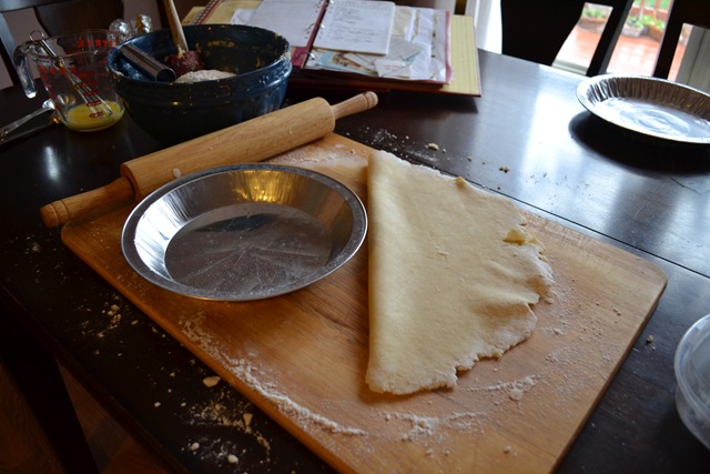 [pie 027[3].jpg]