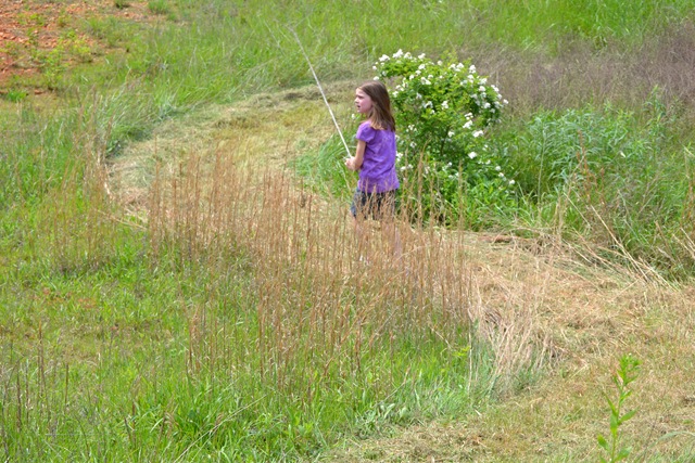 [meandering path 025[3].jpg]