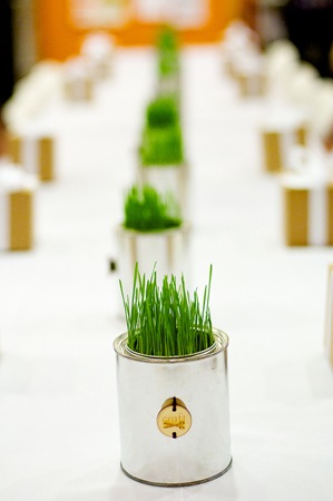 [pcgrass[9].jpg]