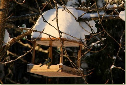 January2010 001-2