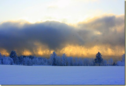 January2010 029-2