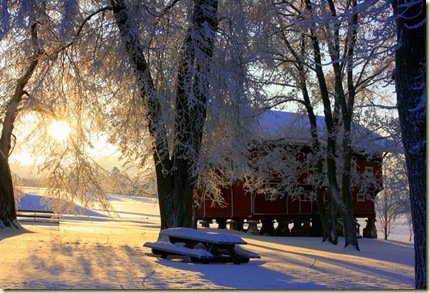 January2010 011-2