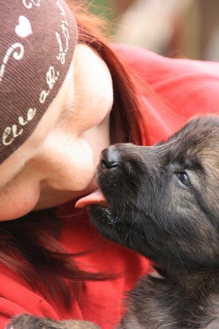 [Isabellas Puppies 034-2[3].jpg]