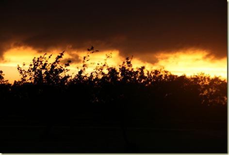 norwaypics 3032