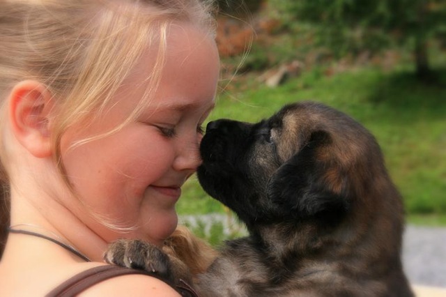 [Isabellas Puppies 024-3[4].jpg]