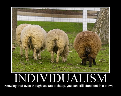 [3463796755_63bf2d1b51[3].jpg]