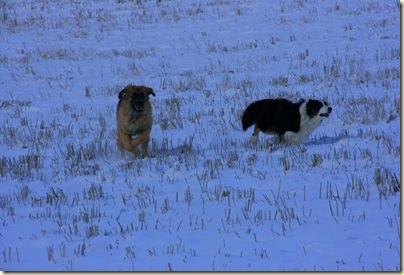 December2009 010-2