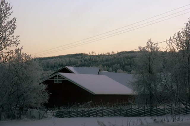 [December200910833.jpg]