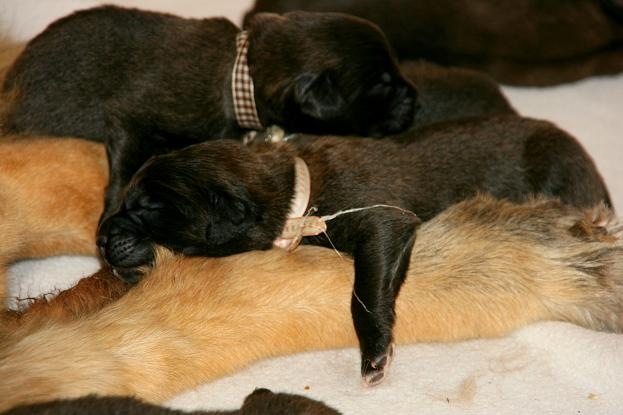 [Birdys babies 2010 007-2[3].jpg]