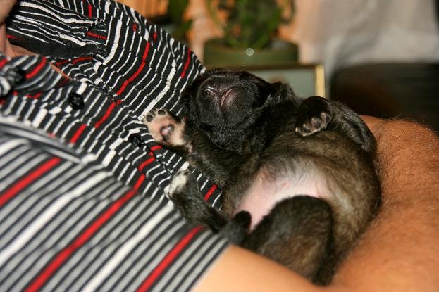 [Birdys babies 2010 033-2[3].jpg]