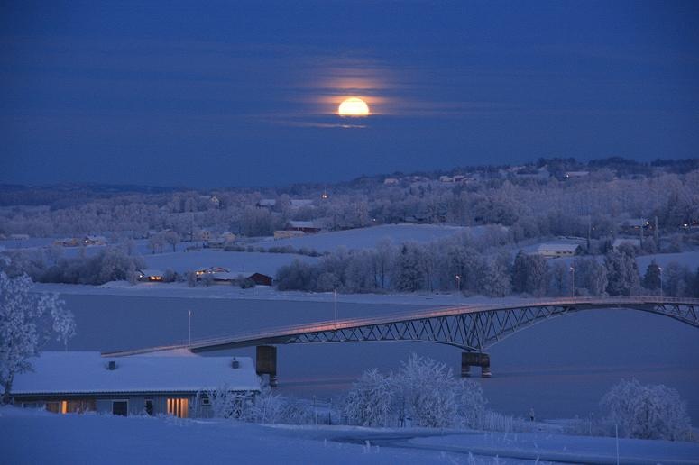 [morningmoon2[9].jpg]