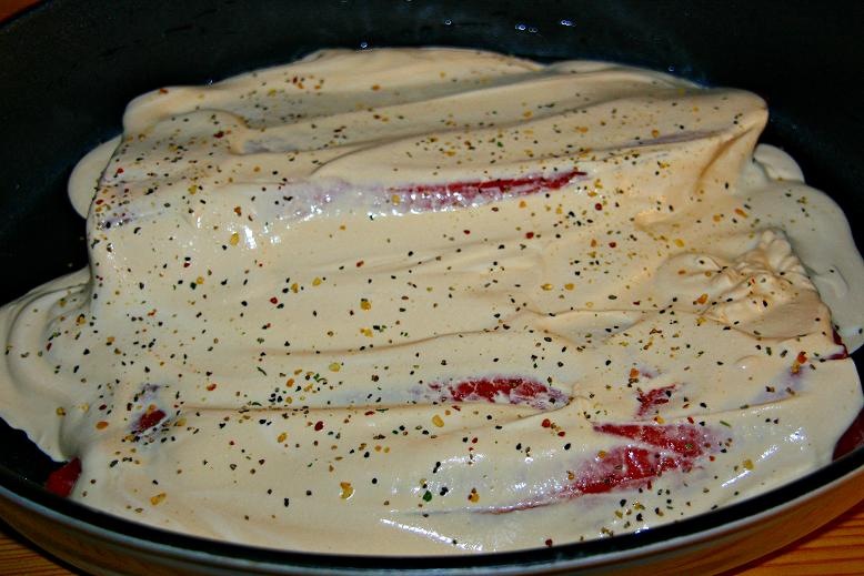 [salmon[6].jpg]