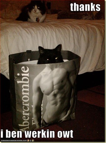 funny-pictures-your-cat-has-been-working-out